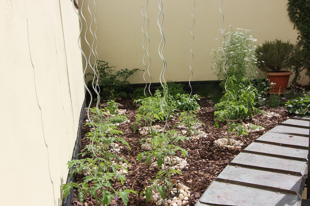 ホテル テレジア 写真