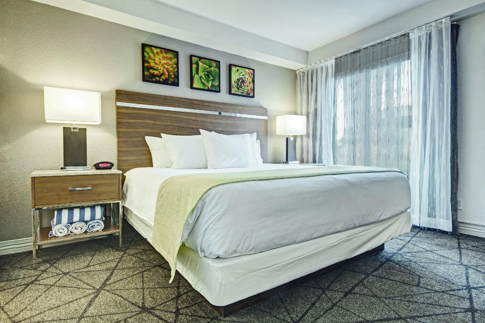 デサート ローズ リゾート 写真