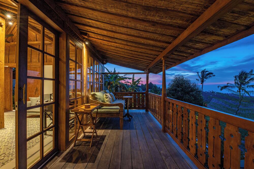 ウマ ルサ 写真