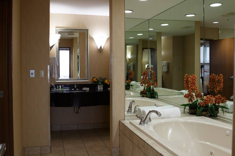 Holiday Inn Battle Creek By IHG 写真