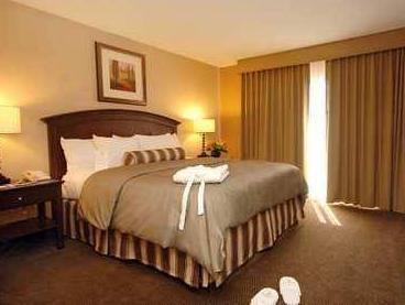 エンバシー スイーツ バイ ヒルトン ミルピタス シリコン バレー 写真