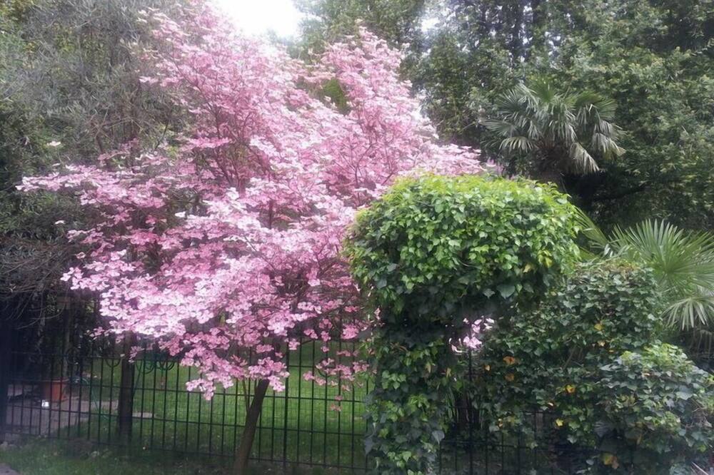 ホテル ジュリアーネ 写真