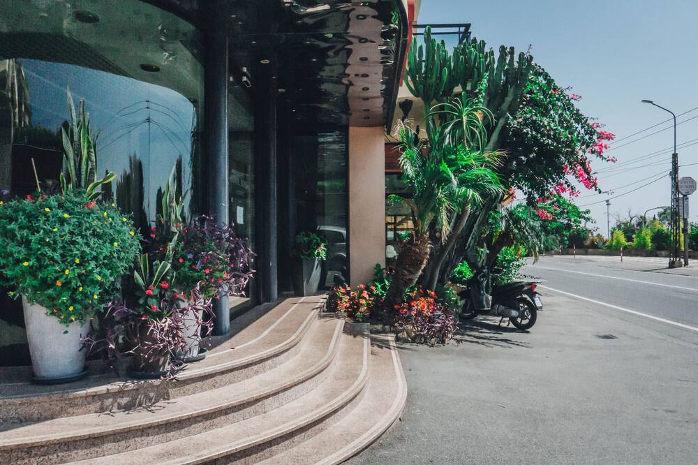 Bobby Executive 写真