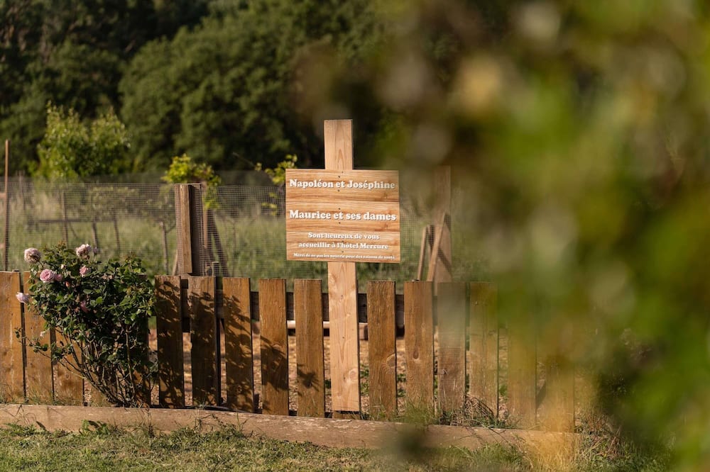 ホテル メルキュール エクス アン プロヴァンス サント ヴィクトワール 写真