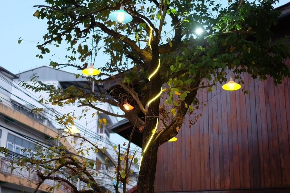 ジトラ リゾート 写真