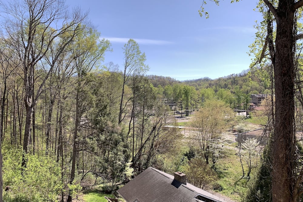 ローレル イン コンドミニアム 写真