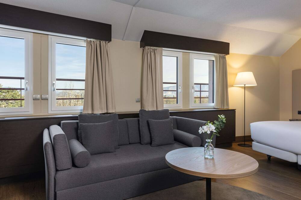 NH ジュネーブ エアポート 写真