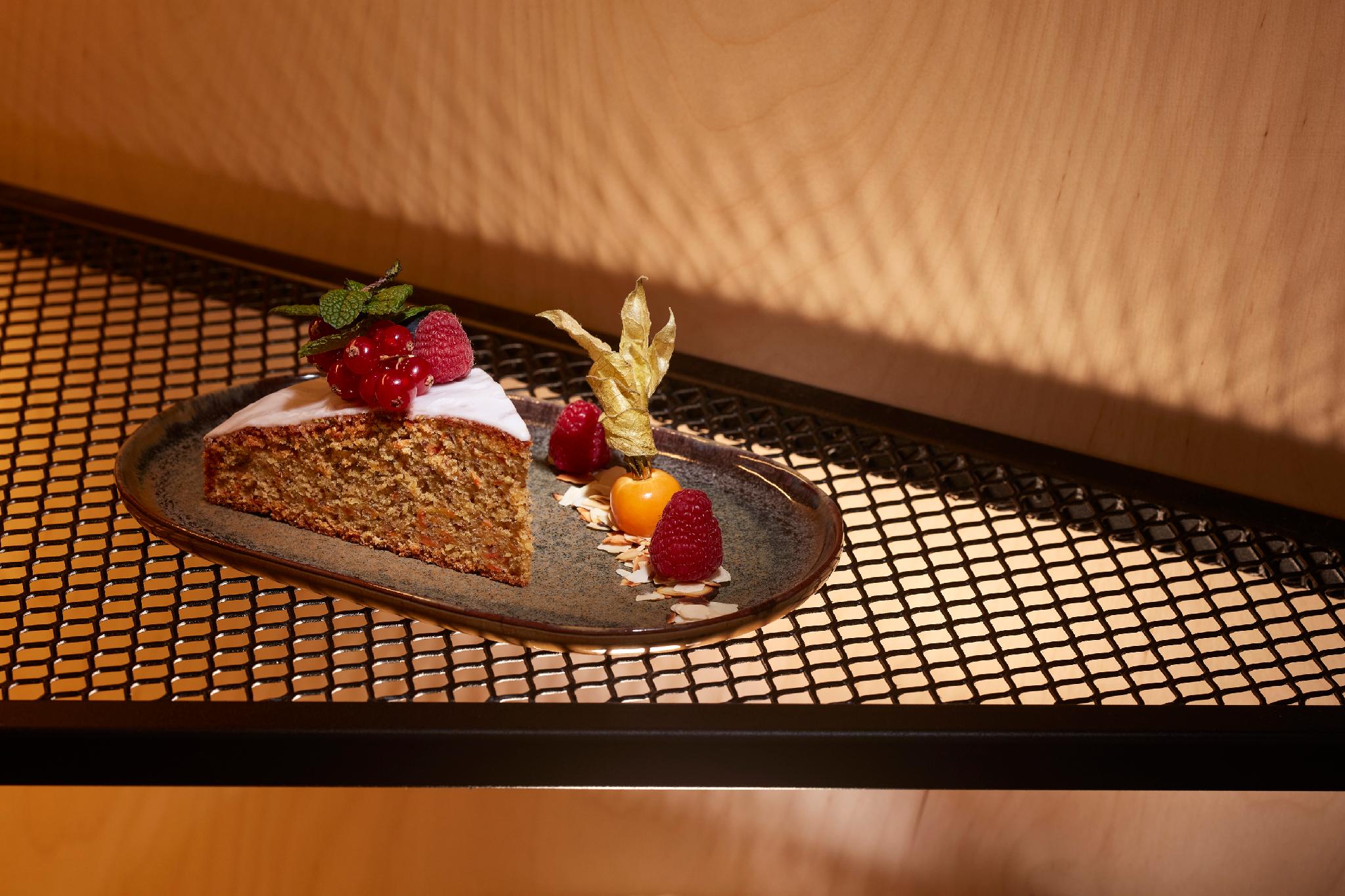 アヴァニ フランクフルト シティ ホテル 写真