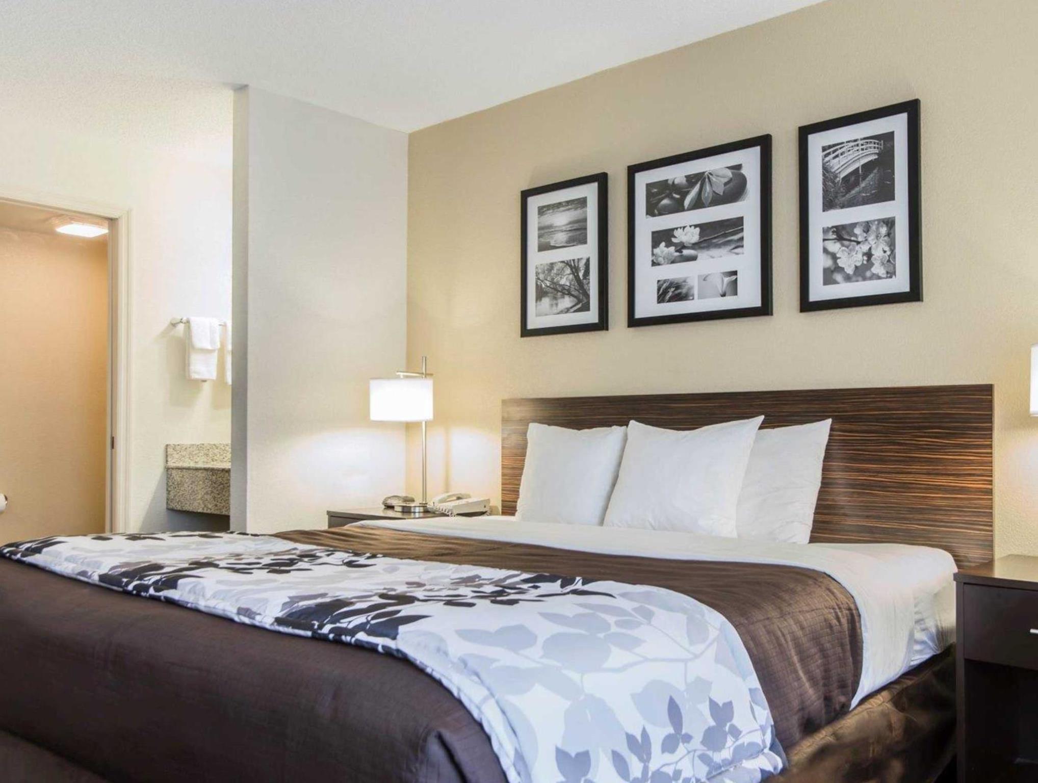 スリープ イン フローレンス ノース 写真