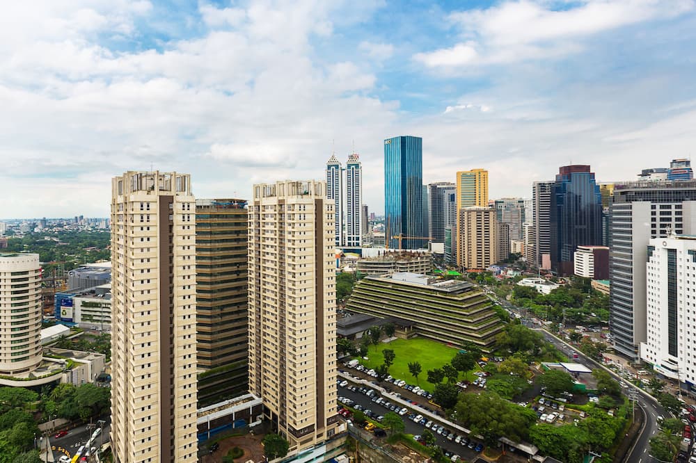 リッチモンド ホテル オルティガス マニラ 写真