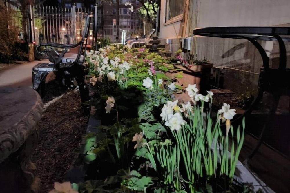 Frederick Stearns House historic inn 写真