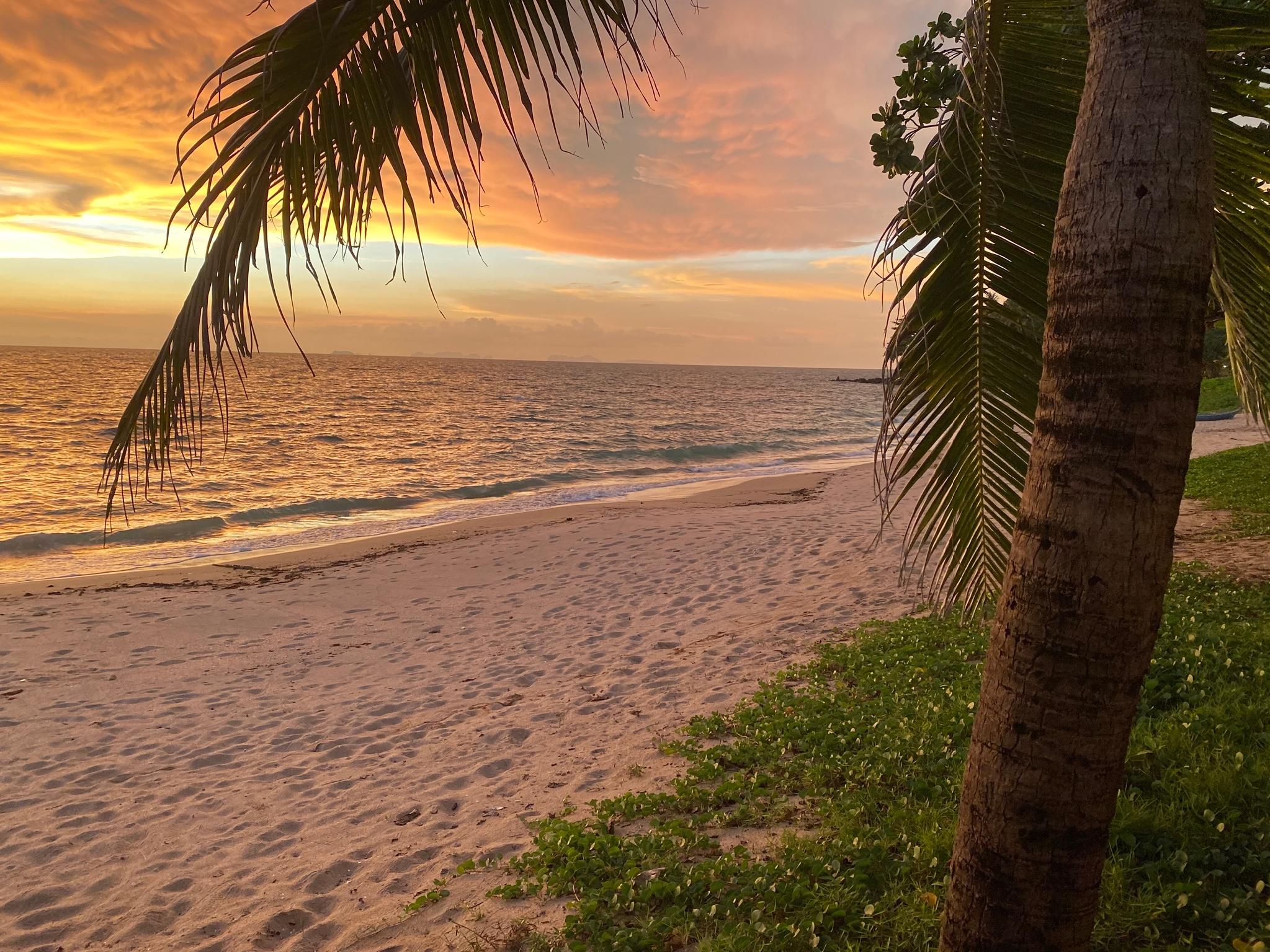 ランタ パレス ビーチ リゾート ＆ スパ 【大人専用】 写真