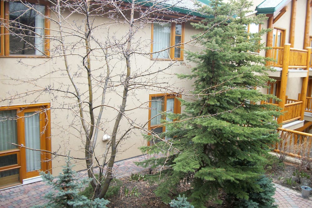 ブリュースターズ マウンテン ロッジ 写真