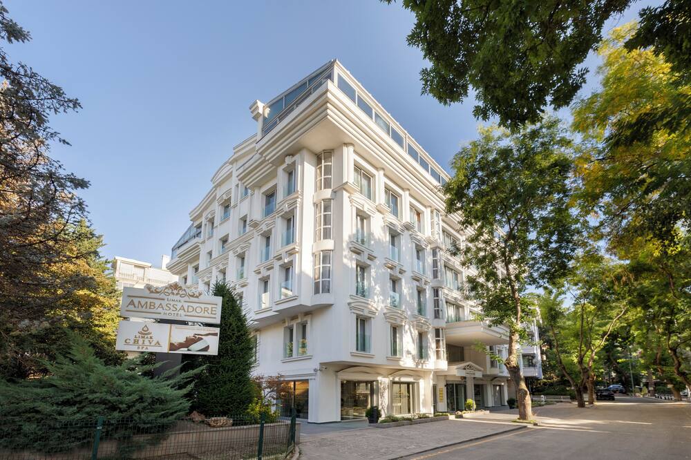 Limak Ambassadore - Special Class 写真