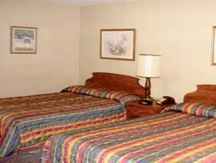 ウェザーベーン モーター コート 写真