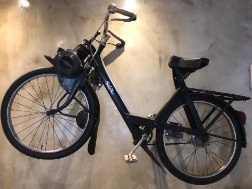 ホルツァー 写真