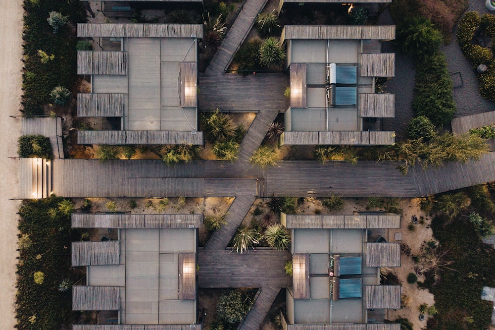 タカ マタンザス 写真