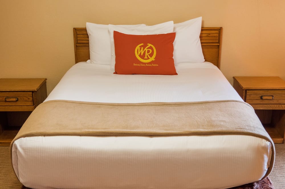 ワイルド ベア イン 写真