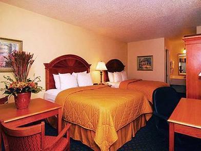 コンフォート イン サンシティ センター - ラスキン - タンパ サウス 写真