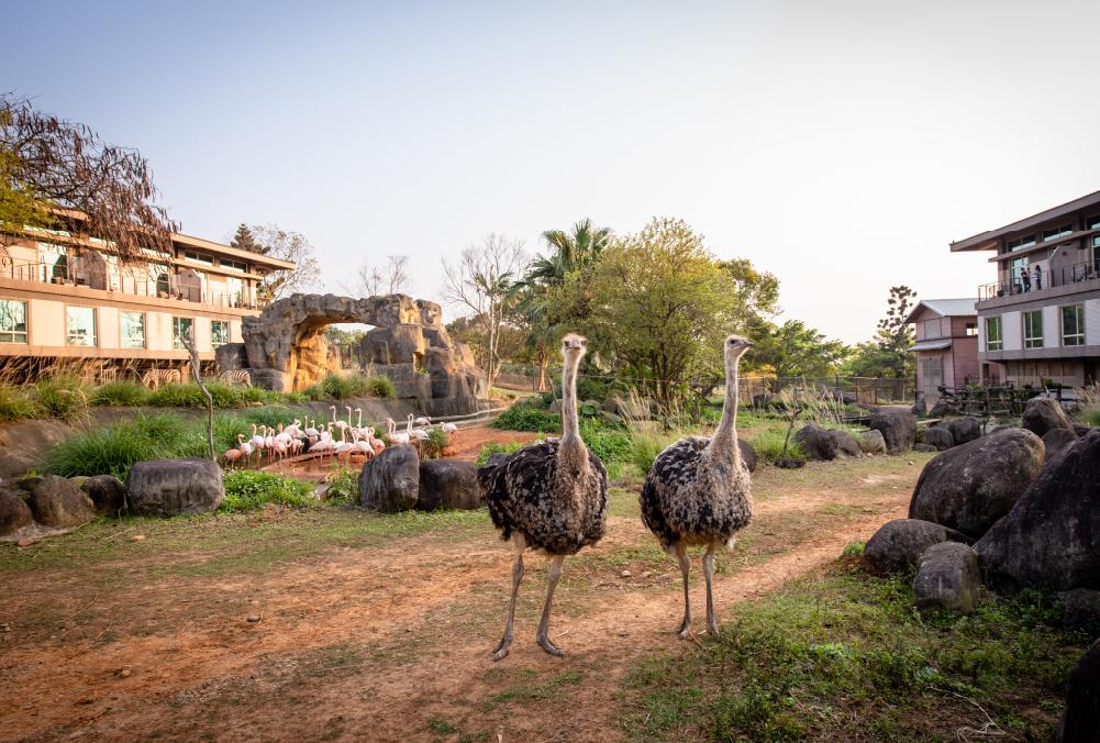 レオフー リゾート クァンシ 写真