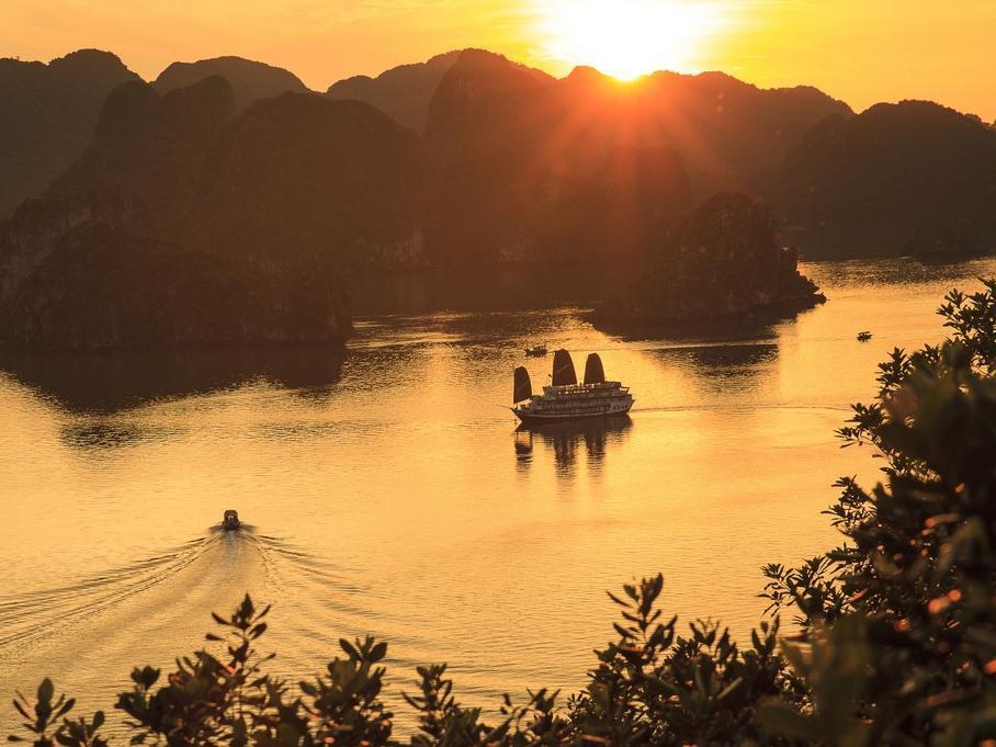 ビクトリー クルーズ 写真