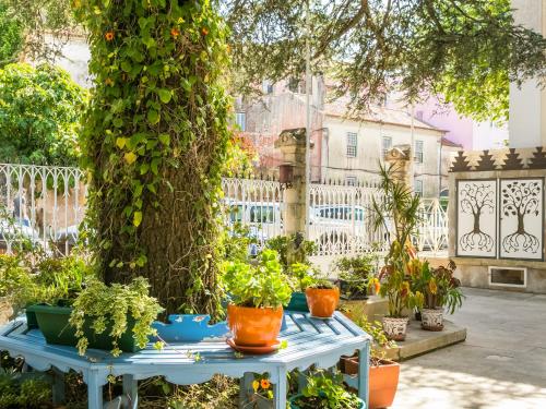 シャレー サウダージ 写真