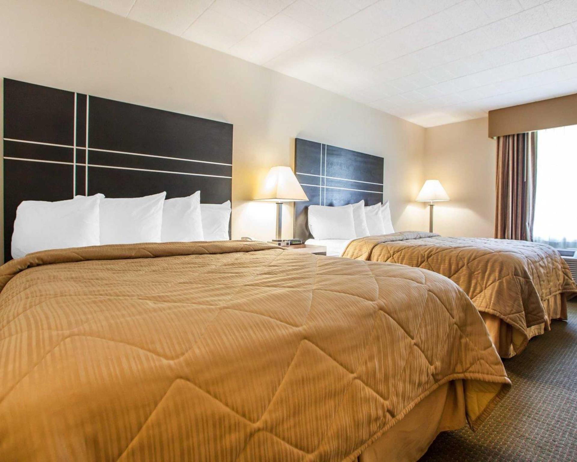 クオリティ イン レッジウッド - ドーバー 写真