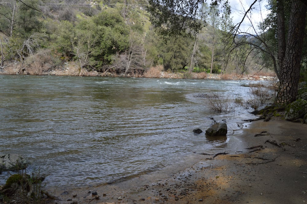 シダー ロッジ 写真
