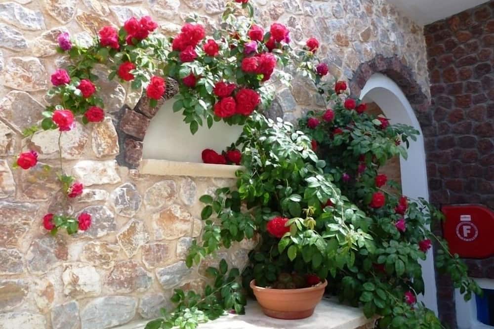 アタロス スイーツ 写真