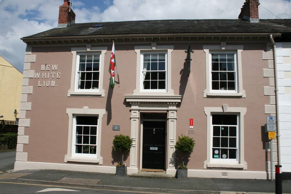 ザ ニュー ホワイト ライオン 写真