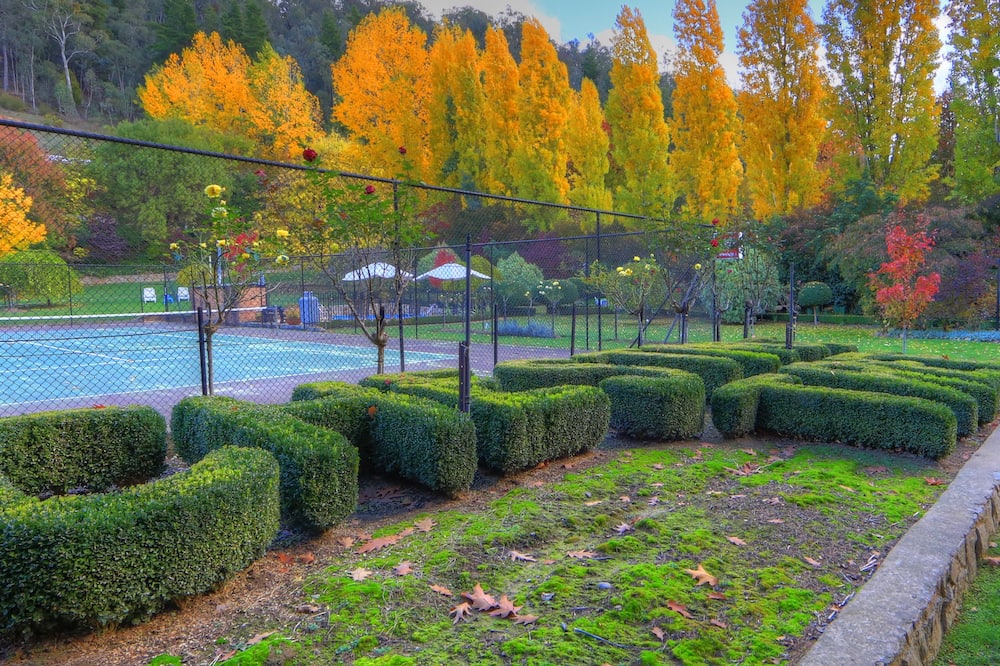 チェスナット ツリー ホリデイ アパートメンツ 写真