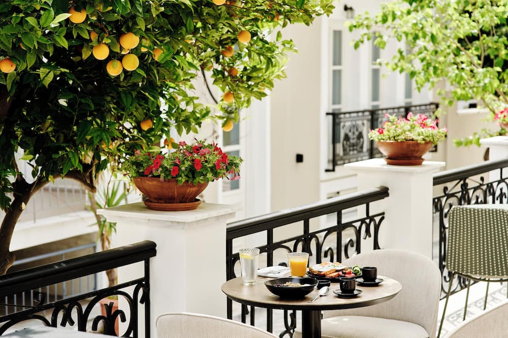 ドリッサ セオレム ホテル 写真