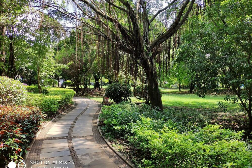 パーデクション ホテル 写真