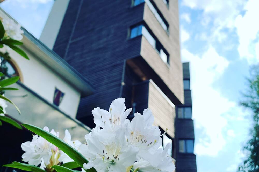 ザ セブン ホテル 写真