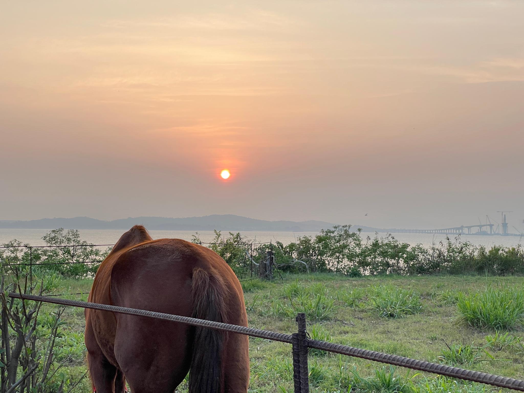 ブリーズ & ウエイブズ A シーサイド イン 写真