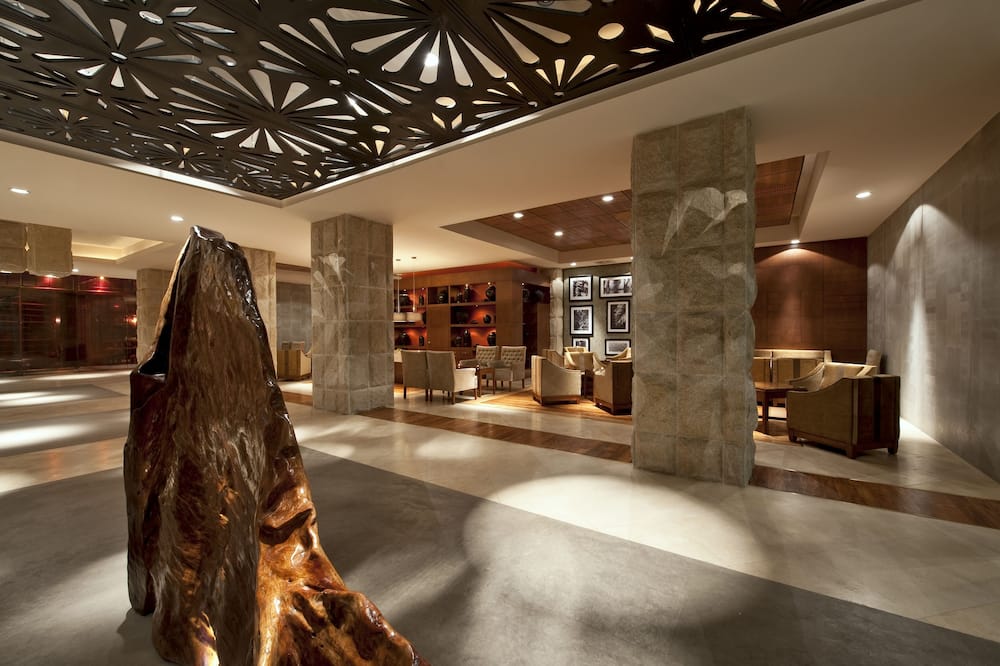 ハイアット リージェンシー ビジャエルモッサ 写真