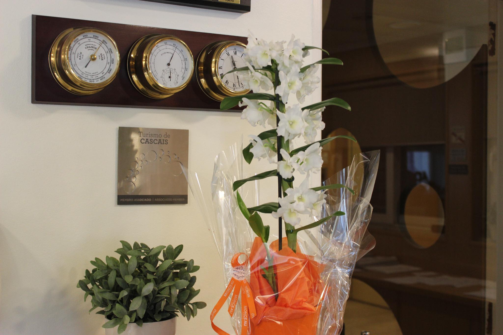 ホテル サオ マメド 写真