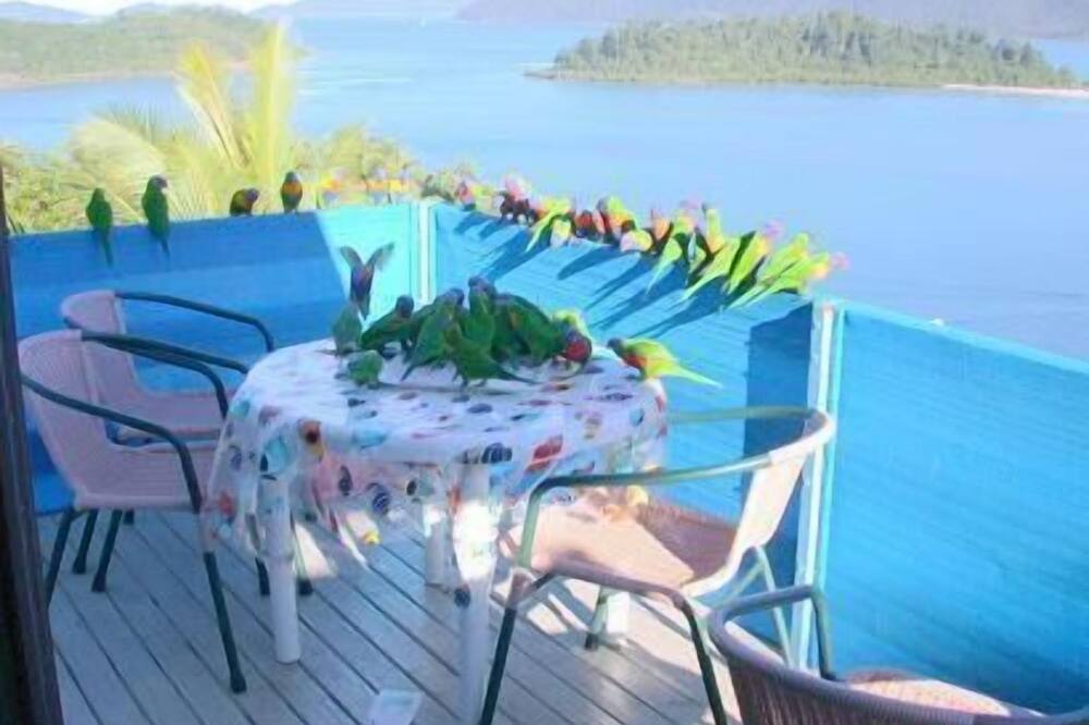 コーラル ポイント ロッジ 写真