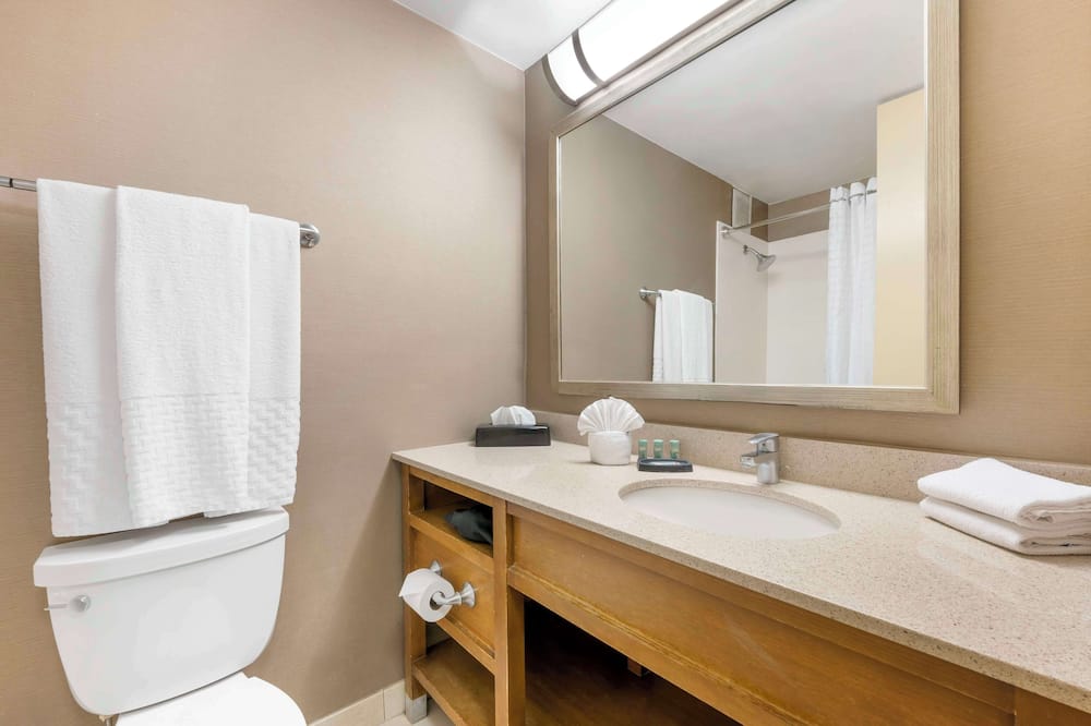 ベストウェスタン グラント パーク ホテル 写真