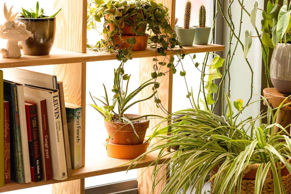 イビス ルーベン セントラム 写真