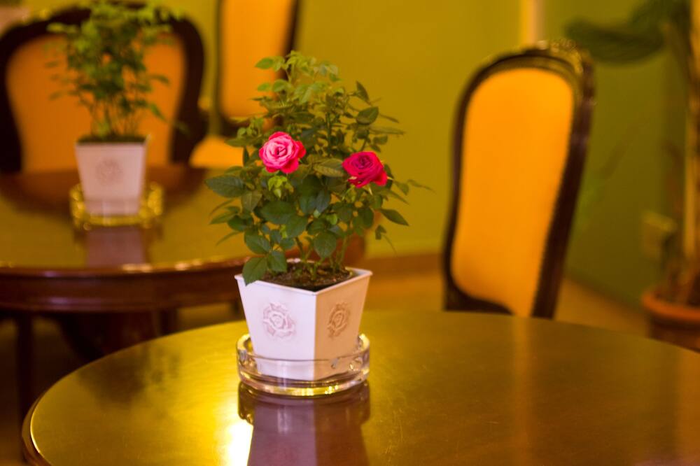 アンドロメダ スイーツ 写真