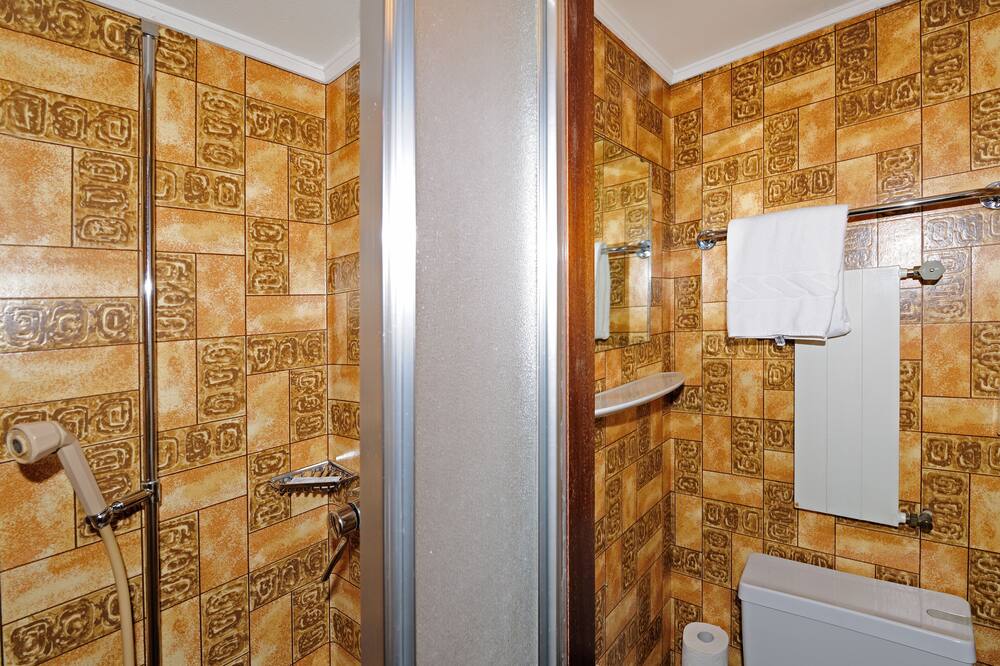 ホテル アルプーベル ツェルマット 写真