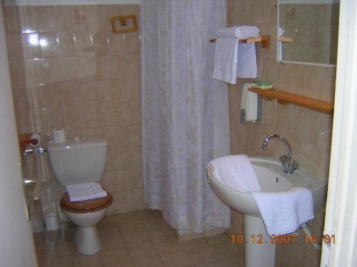 ホルツァー 写真