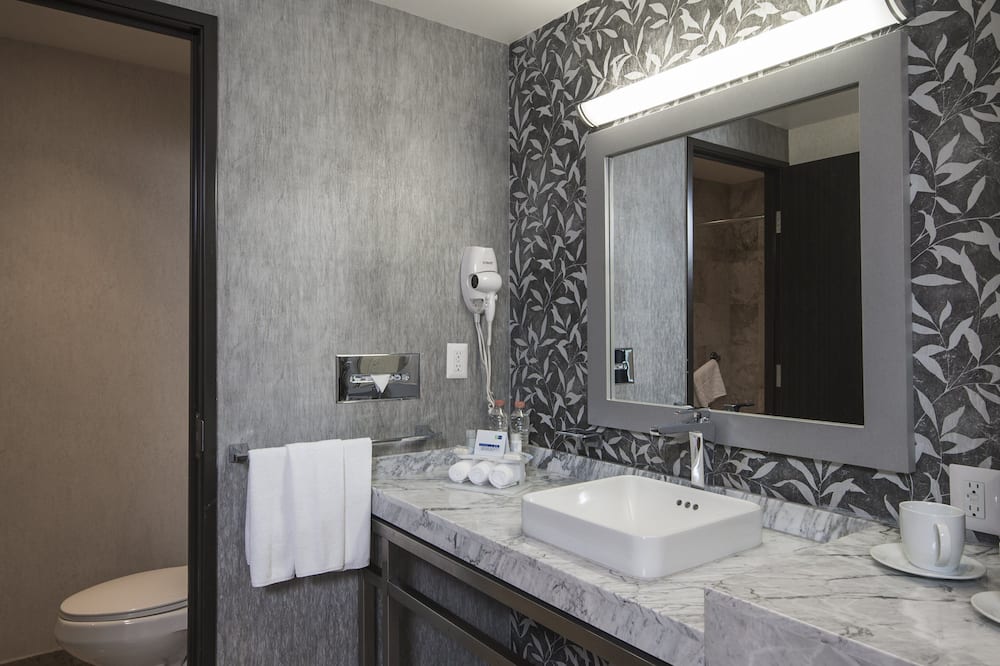 ホリデイ イン エクスプレス ＆ スイーツ ケレタロ バイ IHG 写真