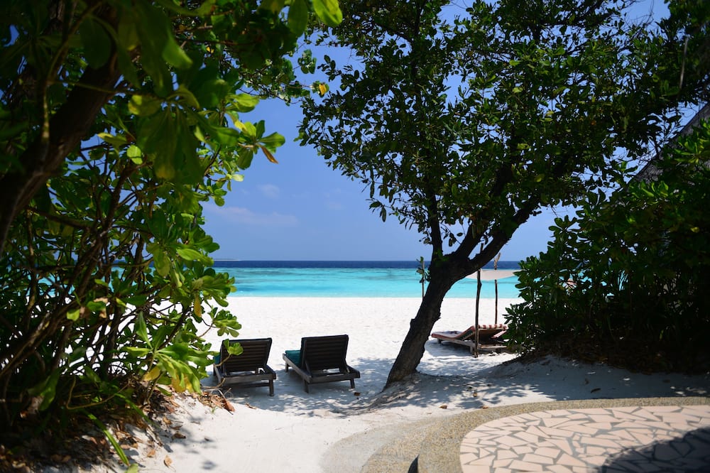 ココ パーム ドゥニ コルフ 写真