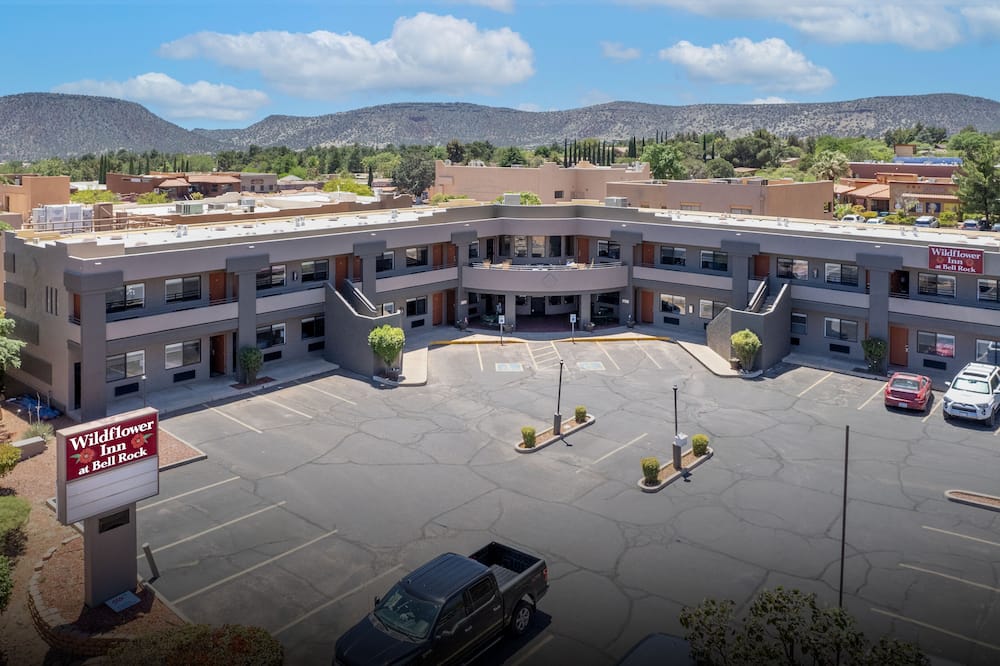 ワイルドフラワー イン アット ベル ロック 写真