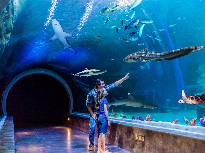 Holiday Inn South Jordan - SLC South By IHG 写真