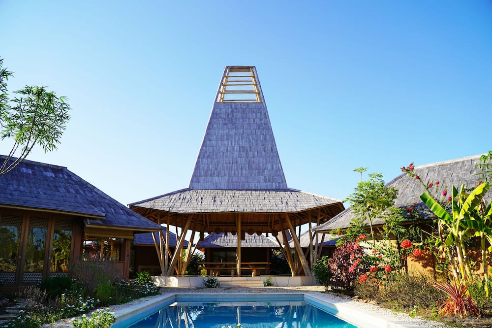 マリンギスンバ 写真