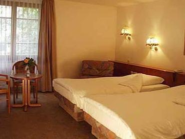 ホテル ガストホフ アドラー 写真