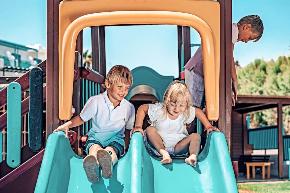 ミツィス セレクション リネラ 写真